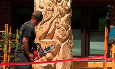 Mountain Mike Ayers is working to transform two 10-foot white pine logs in front of a home on Beaverdam Road in Asheville