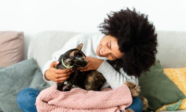 Having a pet could boost your wellbeing by as much as being married