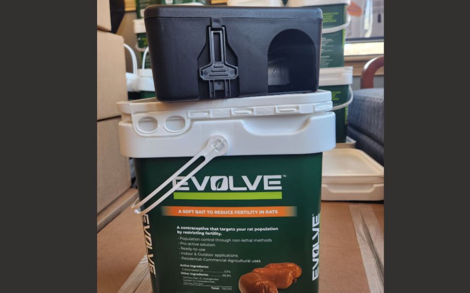 <i>WBBM via CNN Newsource</i><br/>A new pilot program has crews installing bait boxes with rat birth control in alleys behind several major thoroughfares in the neighborhoods.