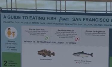 A new study by the San Francisco Estuary Institute confirmed concentrations of PFAS