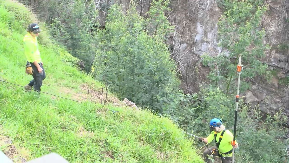 <i>KITV via CNN Newsource</i><br/>As fire season begins