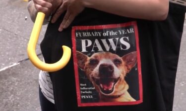 A vicious dog attack caught on camera is renewing calls for a change in New York City's laws. Penny