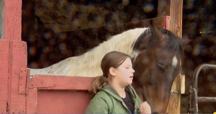 <i>WBAL via CNN Newsource</i><br/>From petting a horse to grooming and eventually riding