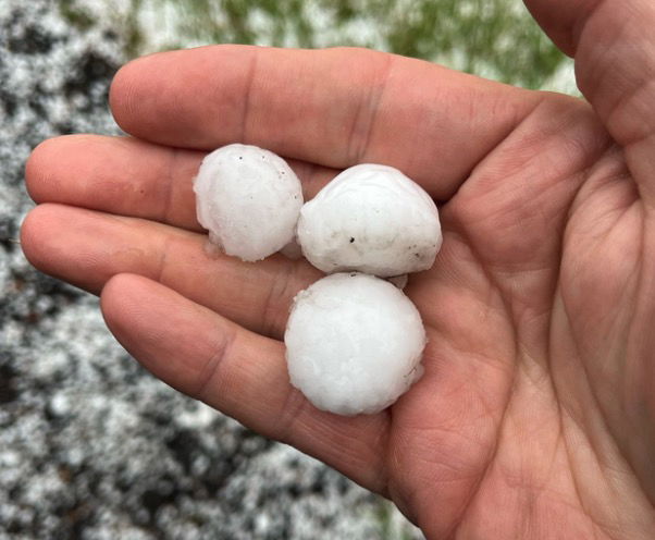 <i>Douglas County Sheriff's Office via CNN Newsource</i><br/>One Colorado sheriff's office got a surprise Saturday when large hail set off a burglar alarm.