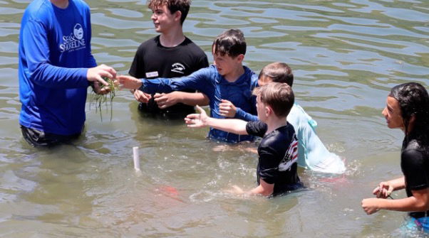 <i>WFTS via CNN Newsource</i><br/>Students from Crystal River Primary School brought their classroom to Hunter Springs Park to learn how to plant eelgrass.