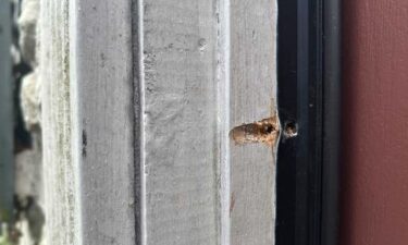 A neighborhood in Lancaster County woke up to the sound of gunfire. Lancaster Township police say multiple shots were fired at a home on Deep Hollow Lane around 2:30 a.m. They are calling it a targeted attack. "A few did penetrate into the residence