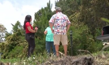 A quiet Florida neighborhood has become ground zero for an invasion of feral hogs tearing up lawns