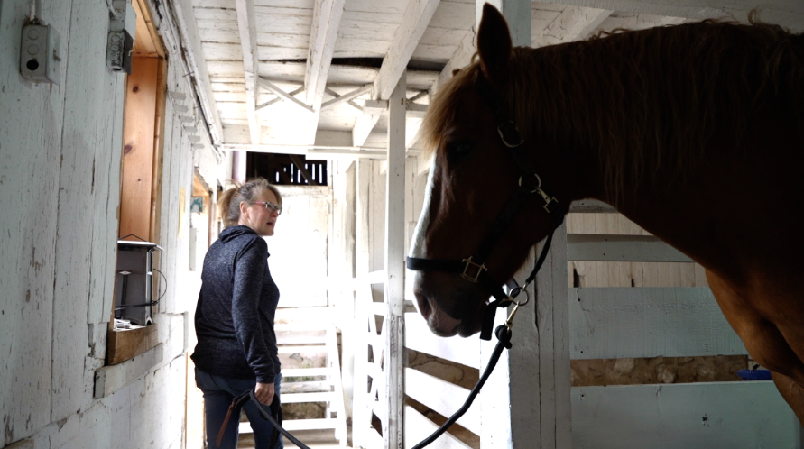 <i>WGBA via CNN Newsource</i><br/>At Crossfire Ranch in Manitowoc County