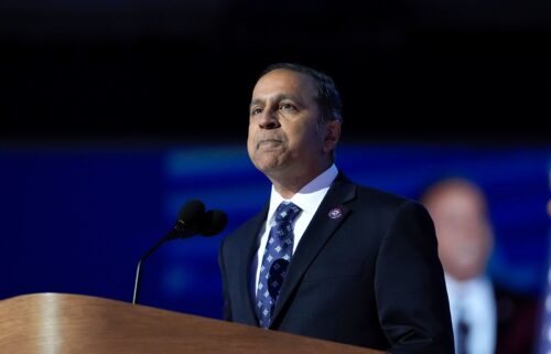 Rep. Raja Krishnamoorthi
