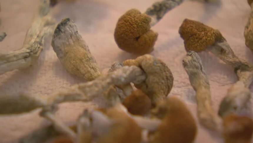<i>KCNC via CNN Newsource</i><br/>