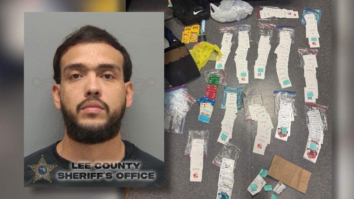 <i>Cape Coral Police Department/WFTX via CNN Newsource</i><br/>Gallego is now charged with grand theft