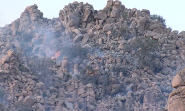 El incendio Eureka quema 87 hectáreas en el Parque Nacional Joshua Tree; cierres temporales en las zonas afectadas