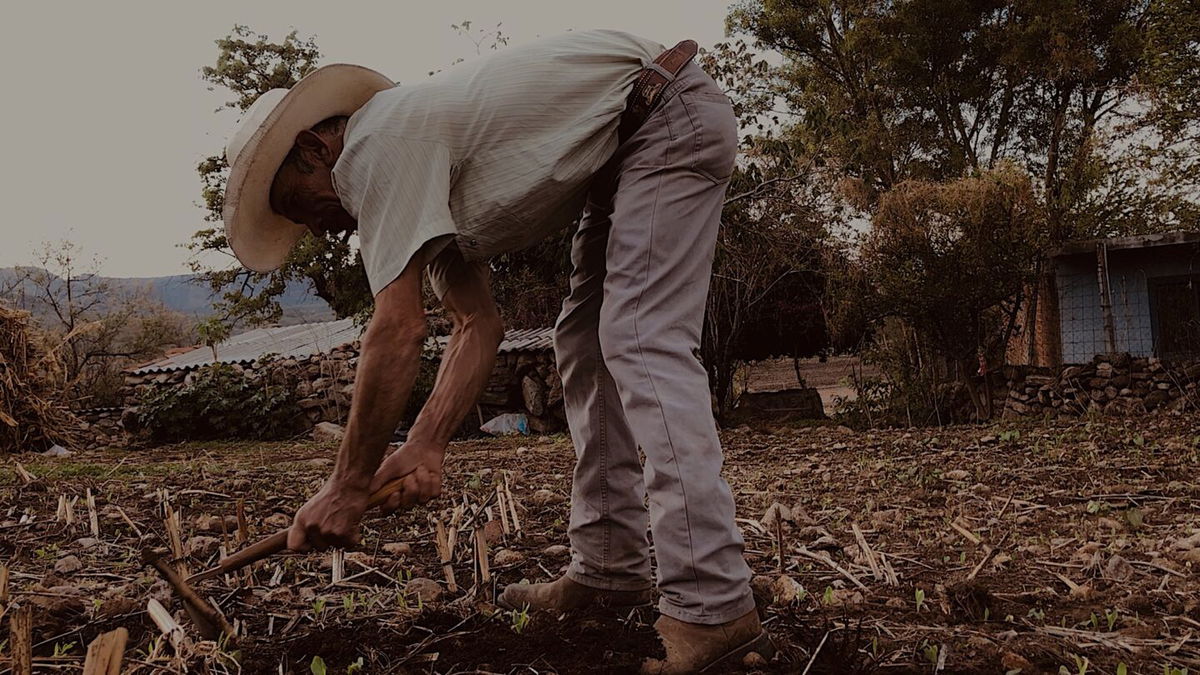 Jose Pedro Cabrera es tercera generación de agricultores, usando 