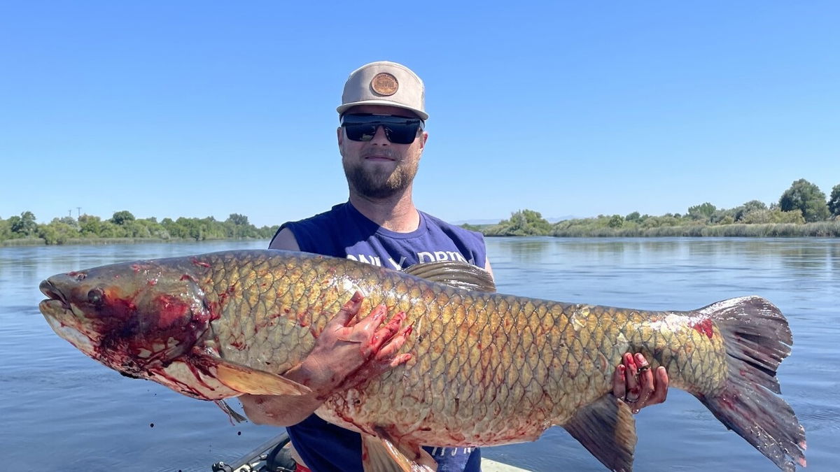 <i>Idaho Fish and Game/KIVI via CNN Newsource</i><br/>An Idaho bow fisherman has shattered the state record for grass carp after catching a fish weighing nearly 68 pounds.