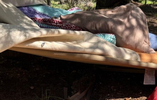 A southern Utah man is out of the hospital after he was attacked by a black bear while trying to sleep on a cot outdoors near Bryce Woodlands.