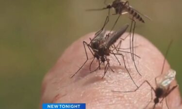 Sacramento is launching a new tactic to stop the spread of invasive mosquitoes that can infect people with Zika and dengue fever. The plan