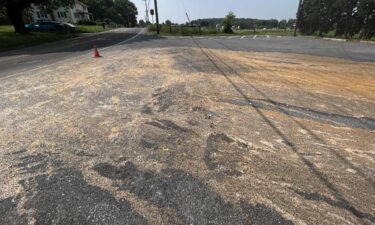 Thousands of eggs spilled off a truck