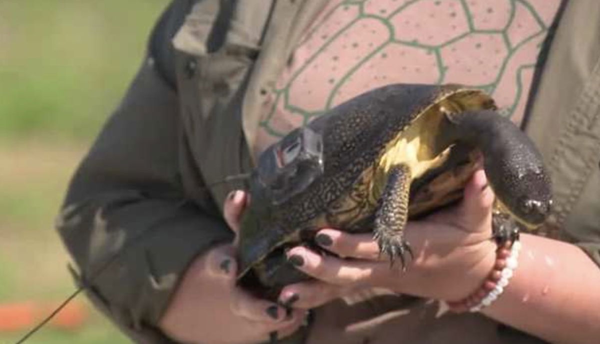 <i>KCCI via CNN Newsource</i><br/>In central Iowa