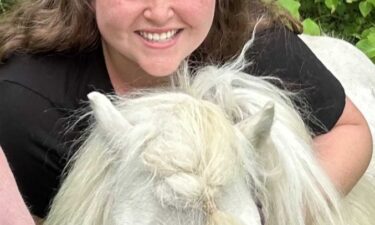 This miniature horse was rescued after it got loose on a roadway in the area of Carmel