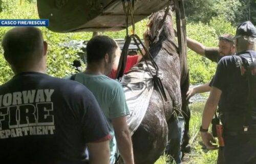 Members of at least six different Maine emergency departments helped rescue a horse stuck in the mud in Casco on June 22. The rescue took four hours.