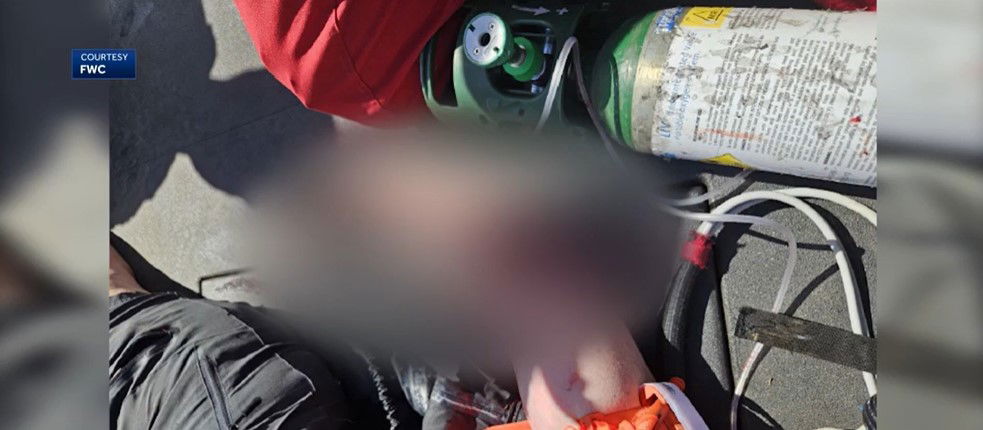 <i>FWC/WESH via CNN Newsource</i><br/>