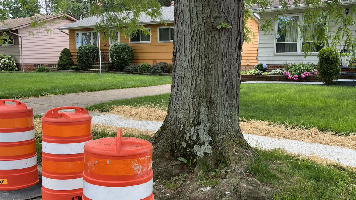 <i>Jonathan Walsh/WEWS via CNN Newsource</i><br/>A citywide sidewalk repair program has some Clevelanders scratching their heads. Their sidewalks all had the same kind of damage after massive city-owned trees and their roots broke them up.