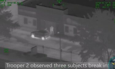 State police provided a video clip of the surveillance and arrest that happened late Wednesday in response to a break-in near 10 Mile Road and Haggerty Road.