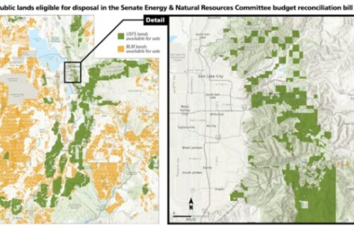 An amendment to the U.S. Senate’s ‘Big