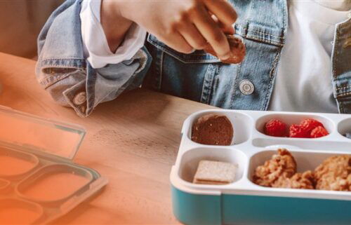 free school meals, free meal, school lunch