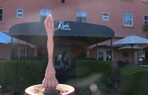 Nearly all of the peacocks at the historic Ryde Hotel in Walnut Grove have gone missing within the past week